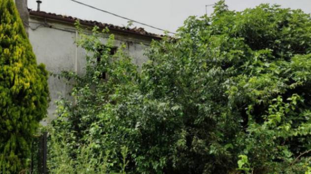 Immobile in asta di 355 m² in vendita a Poggio Rusco - Foto 6