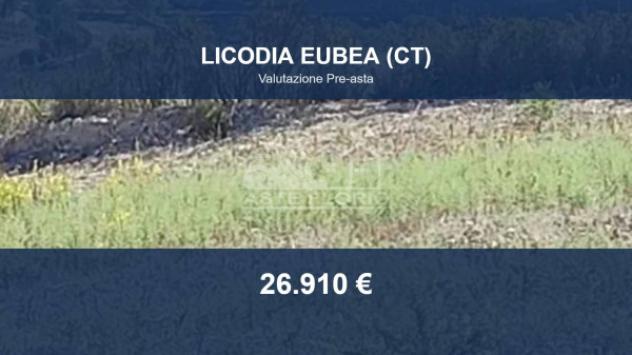 Immobile in asta di 23925 m² in vendita a Licodia Eubea