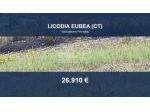 Immobile in asta di 23925 m² in vendita a Licodia Eubea
