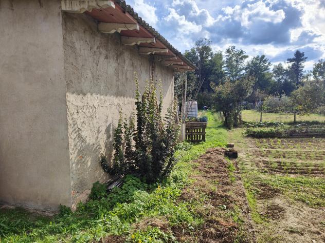 Agricolo in Località Gruccia - Foto 6