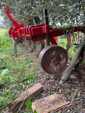 Estirpatore agricolo, tenuto in ottimo stato - Foto 4