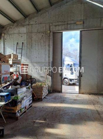 Fabbricati per attività agricole di 323 mq in vendita a Riese Pio X - Rif. 4554415 - Foto 5