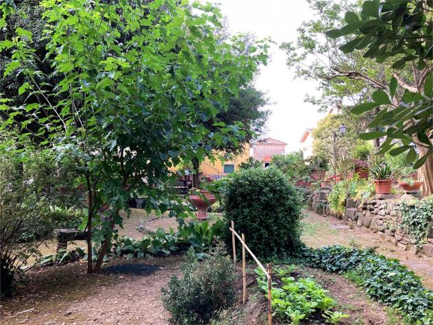 Villa pescia 850 - Villa a Pescia - Collodi - Foto 4