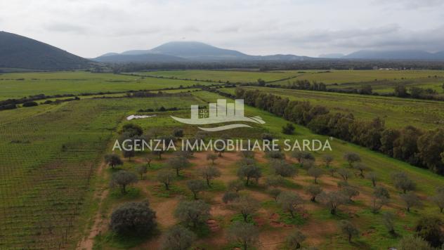 Terreno edificabile in vendita a Alghero - Foto 5