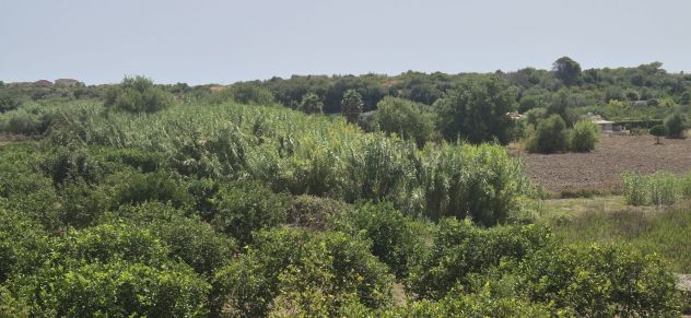 Terreno in vendita in SP59 s.n.c., Lido di Noto - Calabernardo, Noto - Foto 8