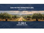 Immobile in asta di 21578 m² in vendita a San Pietro Vernotico