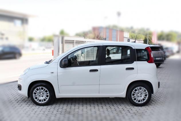 FIAT Panda 3ª serie Panda 1.0 FireFly S&S Hybrid Pandina - Foto 4