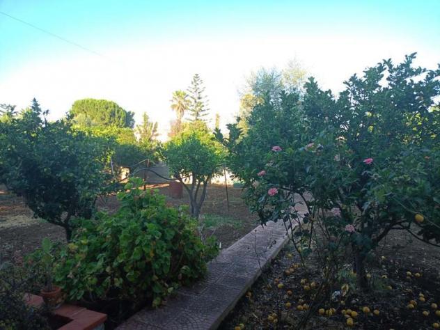 Villa in vendita a Siracusa - Foto 13