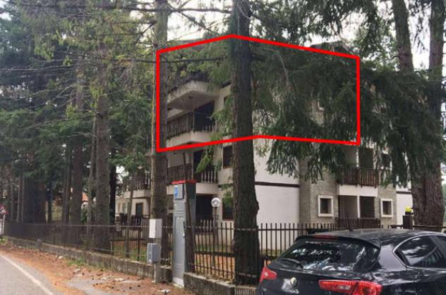 Immobile in asta di 100 m² in vendita a Spezzano della Sila - Foto 20