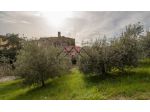 Terreno agricolo in vendita a Montecerboli - Pomarance 7100 mq  Rif: 1249630