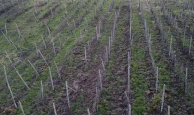 Immobile in asta di 9575 m² in vendita a Rovescala
