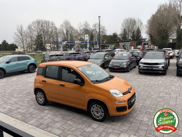 FIAT Panda 1.2 Easy ANCHE PER NEOPATENTATI rif. 23808200 - Foto 6