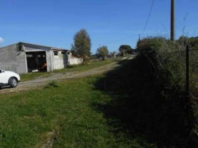 Immobile in asta di 1103 m² in vendita a Thiesi - Foto 6