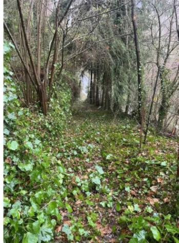 Immobile in asta di 165 m² con più di 5 locali in vendita a Paganico Sabino - Foto 6