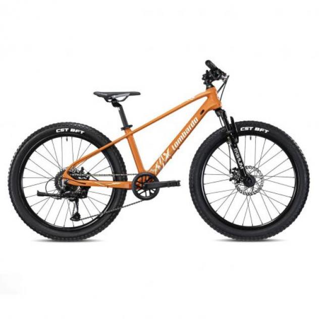 Bici Vesuvio Lombardo - Foto 3