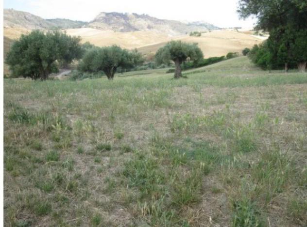 Immobile in asta di 196468 m² in vendita a Enna - Foto 11