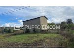 Abitazione di tipo popolare di 150 mq  in vendita a Pesco Sannita - Rif. 4546742