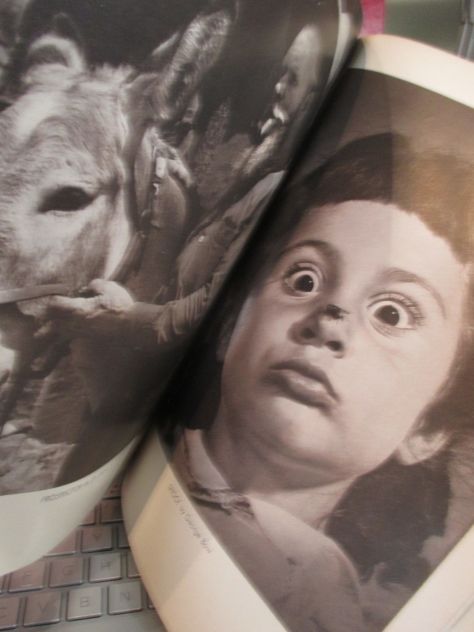 PHOTOGRAPHY annual, edizione1952 ,Lingua  Inglese. - Foto 6