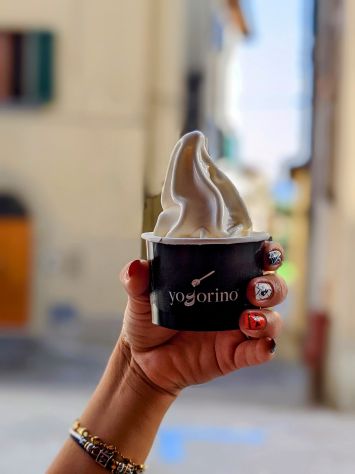 Cessione Attività / Franchising Yogurteria & Frozen Yogurt a Pontassieve (FI) - Foto 3