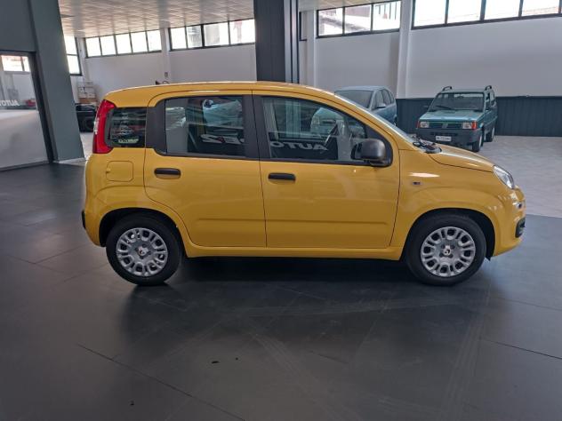 FIAT Panda Panda 1.0 FireFly S&S Hybrid Pop PANDINA DA € 9950 ANCHE A GIUGNO !!! - Foto 5