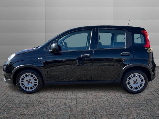 FIAT Panda 1.0 FireFly 70cv S&S Hybrid - Foto 2