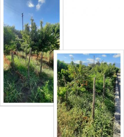 Immobile in asta di 143 m² in vendita a Sarno - Foto 6