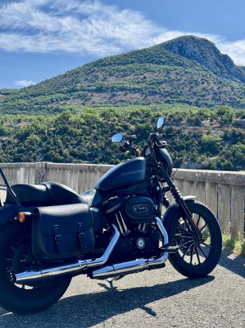 Harley Davidson 883