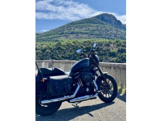 Harley Davidson 883