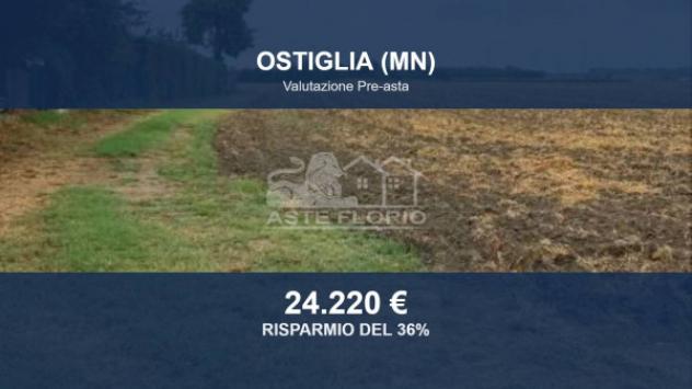 Immobile in asta di 14272 m² in vendita a Ostiglia