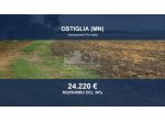 Immobile in asta di 14272 m² in vendita a Ostiglia