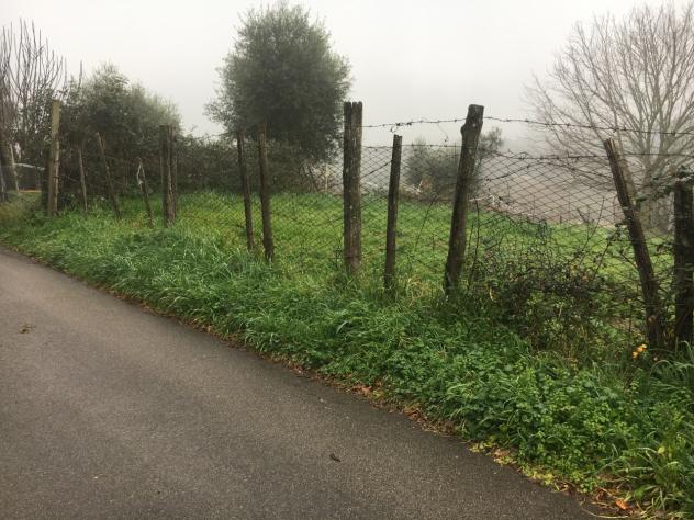 Agricolo in vendita a Sacrofano - Foto 2