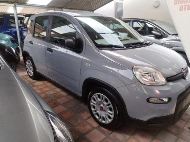 Fiat Panda 1.0 FireFly S&S Hybrid - Foto 2