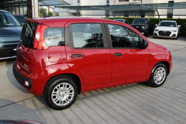 FIAT Panda 1.0 Firefly Hybrid Icon S&S 65cv *5posti* rif. 24102648 - Foto 6