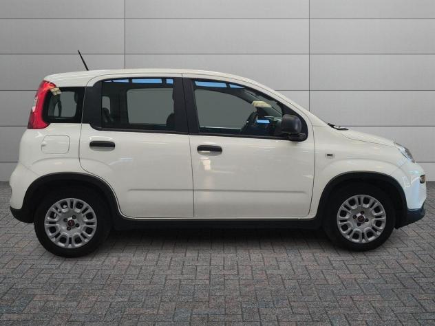 FIAT Panda III 2021 1.0 firefly hybrid s&s 70cv 5p.ti - Foto 3