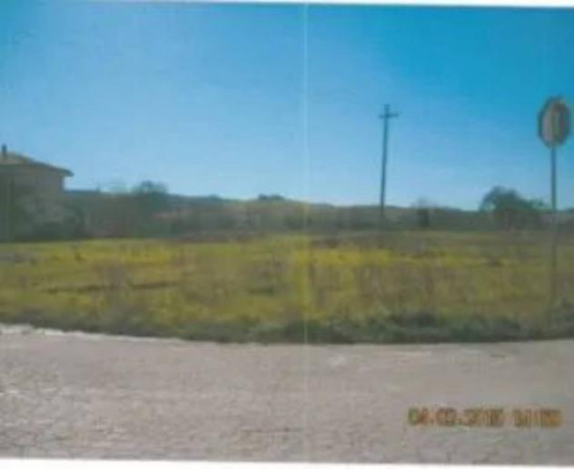 Immobile in asta di 13195 m² in vendita a Montelupone - Foto 2