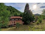 RUSTICO ISOLATO - RISTRUTTURATO - CON TERRENO E BOSCO