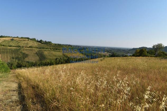 PROPRIETA' BRISIGHELLA - VIA LODOLONE 29 - Foto 5