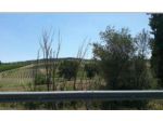 Immobile in asta di 48827 m² in vendita a Vinci