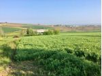 Terreno edificabile in vendita a Borgonovo Val Tidone