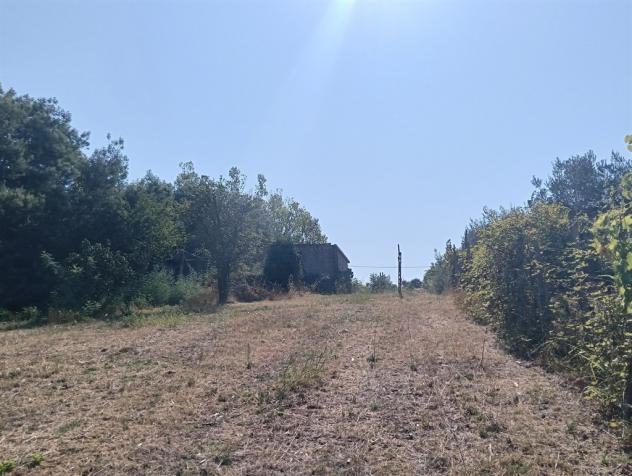 Lanuvio - Foto 11