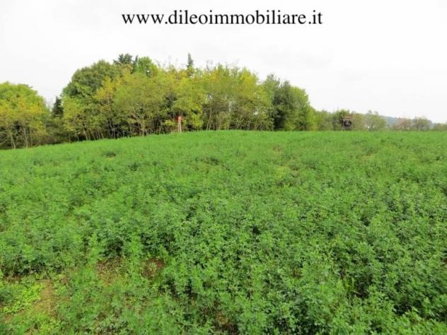 Casale in vendita a Pesaro - Foto 7