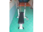 Panca piana da palestra