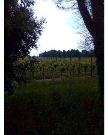 Immobile in asta di 11048 m² in vendita a Caneva - Foto 14