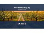 Immobile in asta di 19165 m² in vendita a Decimoputzu