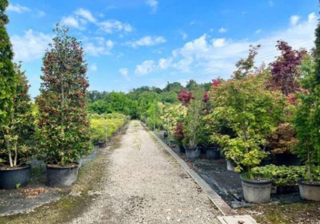Immobile in asta di 16526 m² in vendita a Robecchetto con Induno