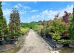 Immobile in asta di 16526 m² in vendita a Robecchetto con Induno