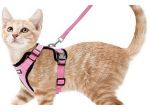 NEGOZIO ANIMALI  VENDITA ACCESSORI  TOLETTA  ZONA PAPINIANO  CEDESI ATTIVITA'
