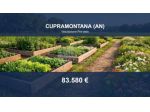 Immobile in asta di 64708 m² in vendita a Cupramontana