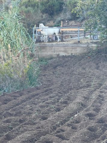 TERRENO PANORAMICO DI 620 MQ – PANZA, FORIO (ISCHIA) - Foto 6