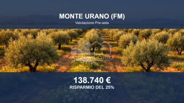 Immobile in asta di 17080 m² in vendita a Monte Urano
